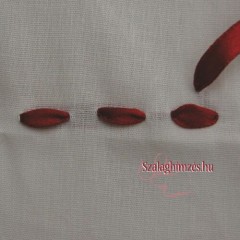 Keresztöltés szalaggal - szalaghímzés